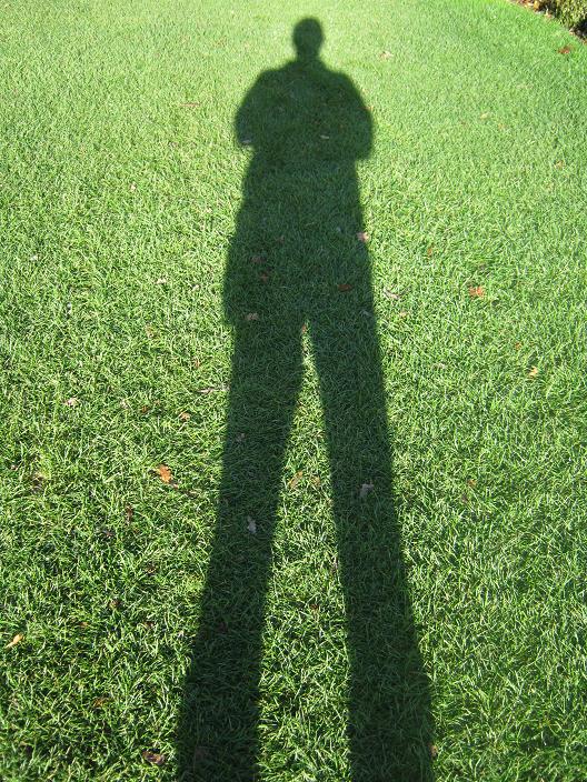 Cast a long shadow.