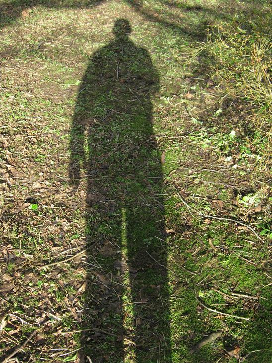 Cast a long shadow 2.